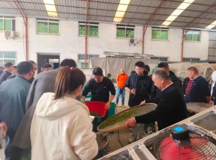 婺源县举办地理标志产品婺源绿茶新标准培训班